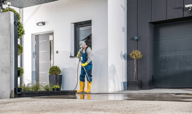 Best Solar Panel Cleaning  in Millsboro, DE